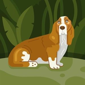 Meet your Posher, Lakyn